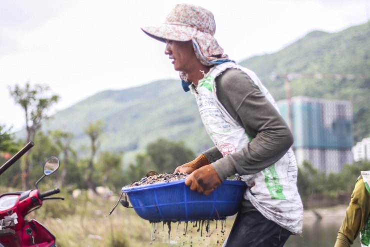 Mưu sinh bằng nghề cào hến trong lòng hồ ở dự án khu đô thị nghìn tỷ - 10