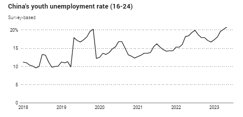 Trung Quốc: Tình trạng thất nghiệp gia tăng khiến ngày càng nhiều Gen Z đi làm giúp việc - 1