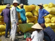 Thị trường - Tiêu dùng - Bộ Công Thương: Tránh mua gom gạo ồ ạt, đẩy giá trong nước tăng bất hợp lý