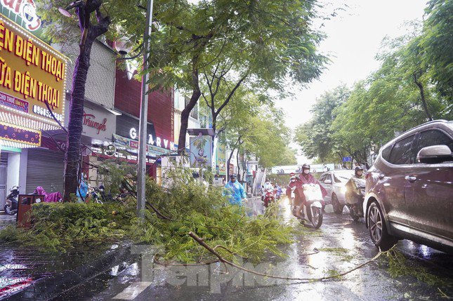 Một cành cây bị gẫy do mưa kéo dài trên phố Thái Hà (quận Đống Đa, Hà Nội), tiềm ẩn nguy cơ gây mất an toàn cho người tham gia giao thông.