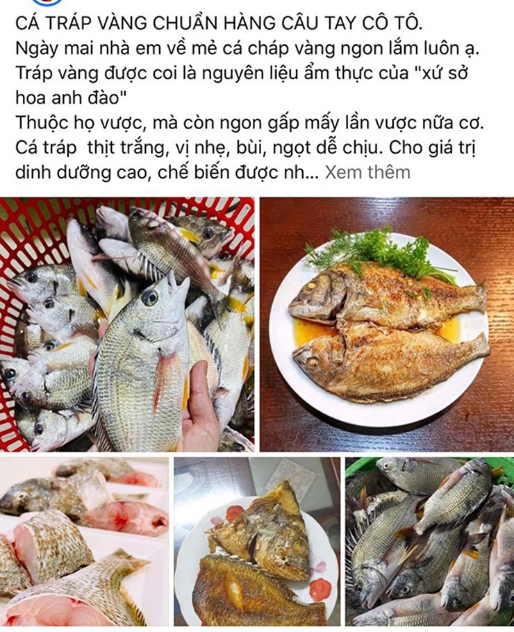 Trên chợ mạng, cá tráp tự nhiên loại 6 con 1kg được rao bán với giá lên tới 250.000 đồng/kg.&nbsp;
