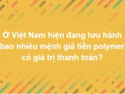 Giáo dục - du học - Bộ câu đố thú vị khiến bạn muốn chơi tiếp