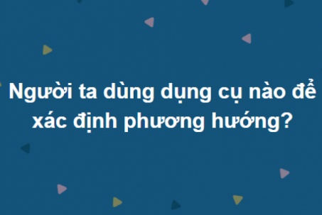 Có cả biển tri thức mới trả lời hết bộ câu hỏi này