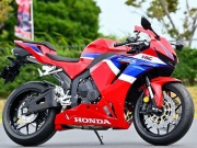 Thế giới xe - Honda CBR600RR 2024 lộ diện tại Suzuka 8 Hours