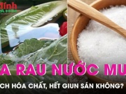 Ẩm thực - Ngâm rửa rau bằng nước muối có loại bỏ được hết hóa chất, giun sán?