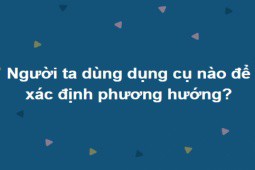 Có cả biển tri thức mới trả lời hết bộ câu hỏi này