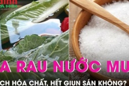 Ngâm rửa rau bằng nước muối có loại bỏ được hết hóa chất, giun sán?