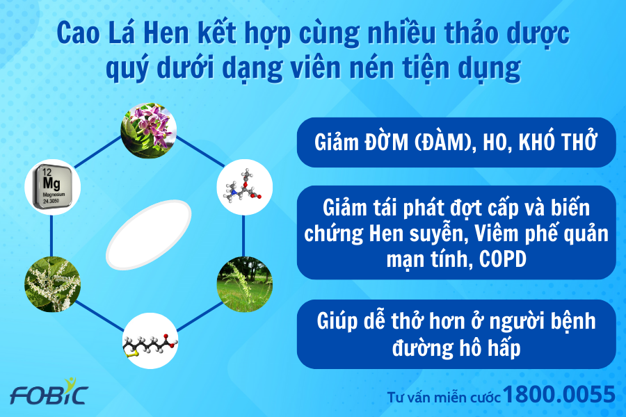 Ho, đàm, khó thở dai dẳng, tái đi tái lại nhiều lần về đêm và sáng phải làm sao? - 4