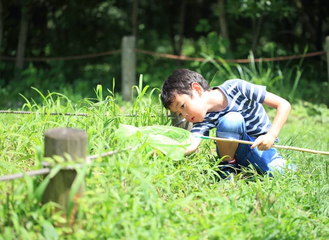 Cha mẹ của những đứa trẻ kiên cường và thông minh luôn làm 7 điều này - 1