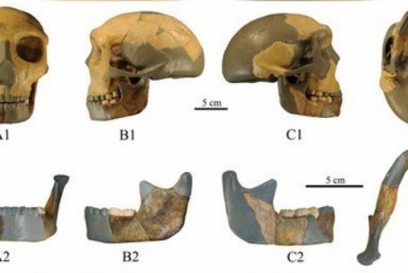 Phát hiện hộp sọ 300.000 năm tuổi có khả năng thuộc giống người mới