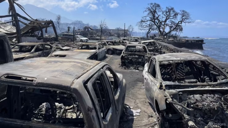 Cháy rừng như 'tận thế' ở Hawaii: Vì sao lan quá nhanh, quá nhiều người chết? - 2