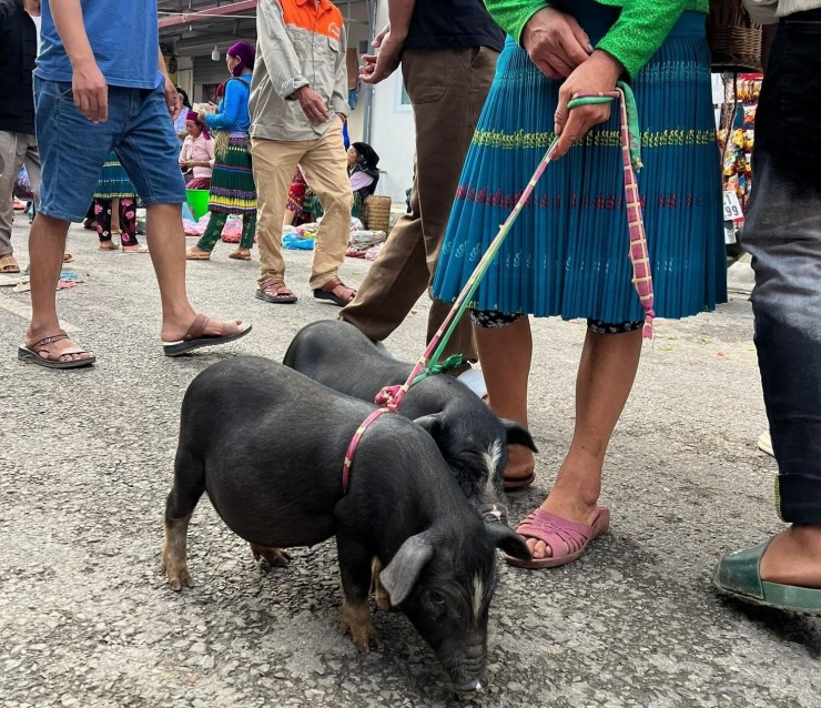 'Phượt' Hà Giang 3 ngày 2 đêm, cô gái Hà Nội vẫn nóng lòng muốn quay trở lại - 18