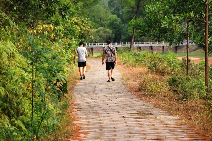 Cảnh hoang phế, xuống cấp của 