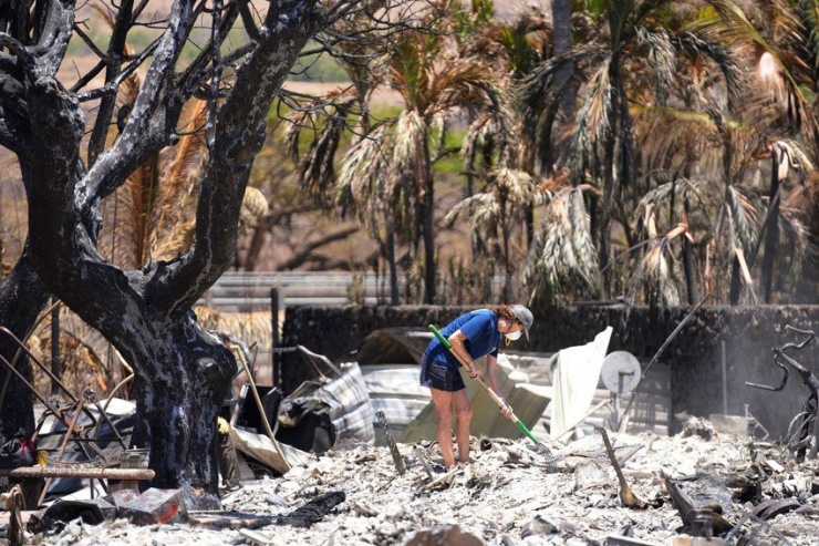 Cháy rừng Hawaii: Tang thương và giận dữ - 2