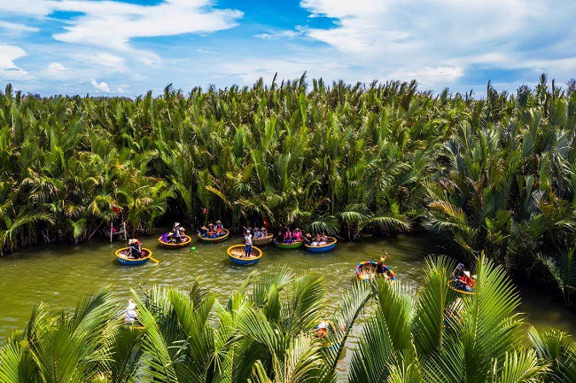 Hiện tại, ngành dừa Việt Nam có vị trí quan trọng trên thế giới với diện tích trên 188 nghìn ha.
