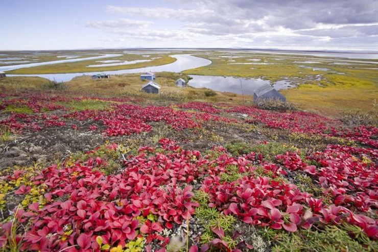 Shishmaref, Alaska: Theo Bộ Nội vụ Hoa Kỳ (DOI), hòn đảo nhỏ với dân số chỉ 650 người này đã dần biến mất dưới biển trong 50 năm qua. DOI cho biết toàn bộ hòn đảo sẽ biến mất trong vòng 20 năm tới.


