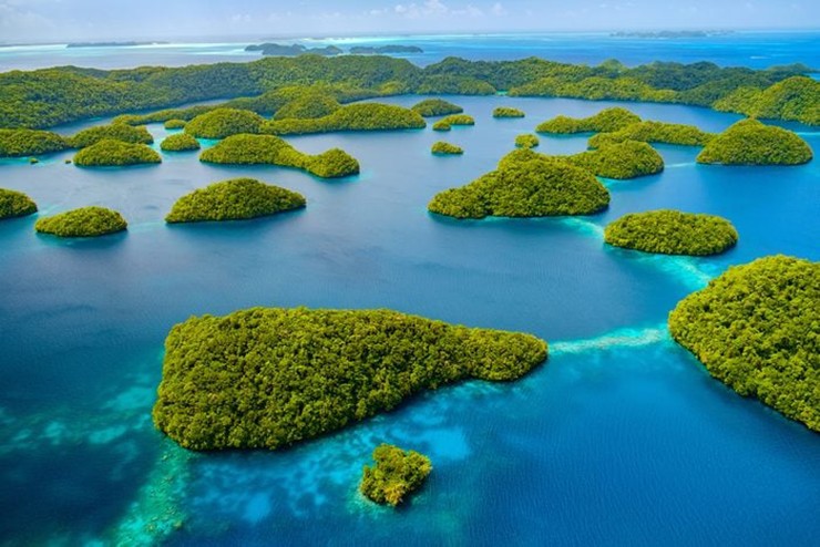 Palau: Một nghiên cứu của Chương trình Khoa học Biến đổi Khí hậu Thái Bình Dương cho biết mực nước biển đã tăng ở Palau khoảng 9cm mỗi năm kể từ năm 1993, gấp khoảng 3 lần mức trung bình toàn cầu. Loài sứa không có nọc độc nổi tiếng của hòn đảo thậm chí đang biến mất, điều này cũng có thể là do biến đổi khí hậu.
