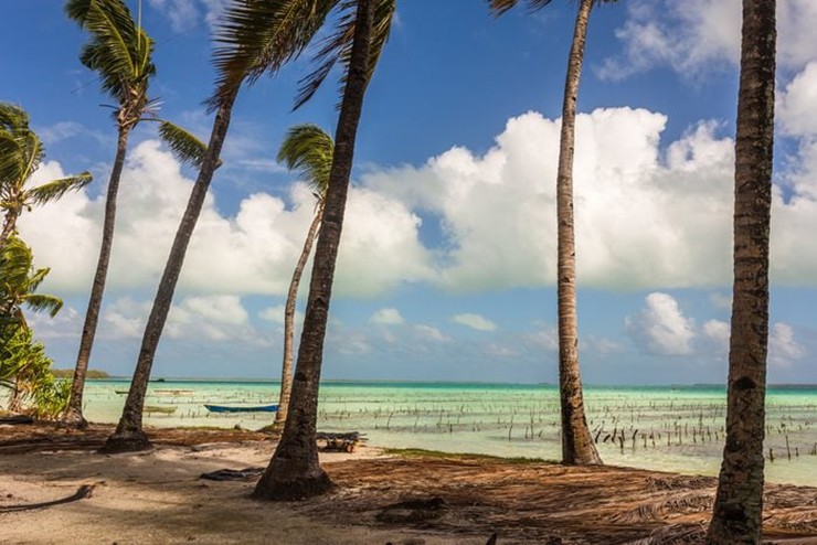 Kiribati: Có một kế hoạch để di chuyển toàn bộ&nbsp;những người sống trên hòn đảo ở trung tâm Thái Bình Dương này do mực nước ngày càng tăng. Tổng thống Kiribati&nbsp;đã tìm cách mua đất ở Fiji vào năm 2012 để “bảo hiểm biến đổi khí hậu” cho người dân trên đảo. Ngoài mực nước biển dâng cao, ô nhiễm đại dương cũng là một vấn đề nghiêm trọng.
