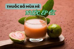 Giàu vitamin C gấp 4 lần cam, uống nước ép ổi vào mùa hè sánh ngang thuốc bổ