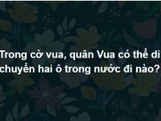 Giáo dục - du học - Dùng tới cả kho tri thức để trả lời được hết bộ câu hỏi này