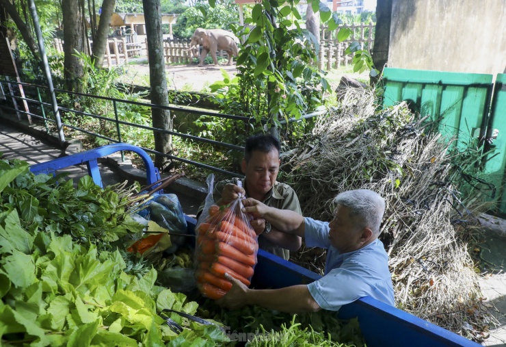 Ông Nê cùng nhân viên tự tay đem các phần thức ăn đặt đúng vị trí tại chuồng thú.