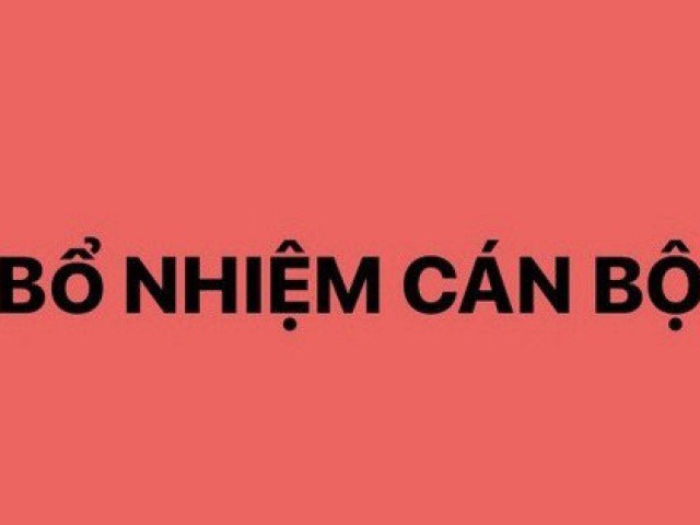 Bổ nhiệm ông Trịnh Mạnh Linh làm Trợ lý Thủ tướng Phạm Minh Chính