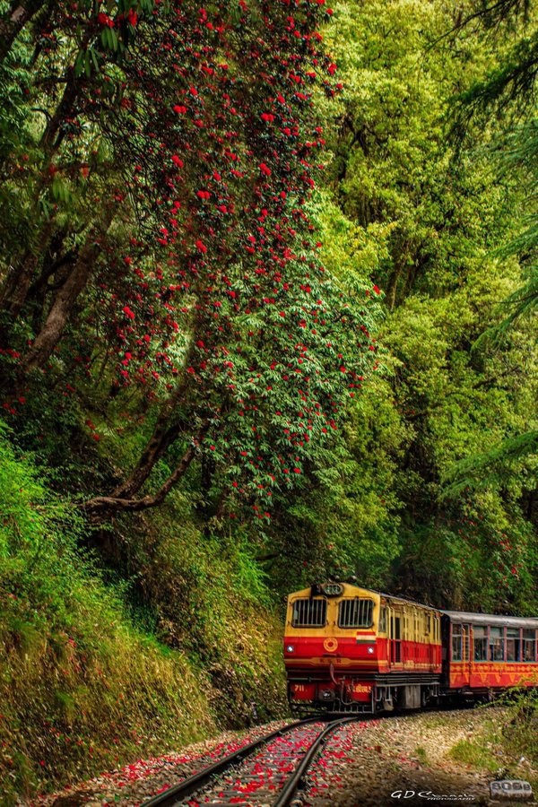 Có gì trong tuyến đường sắt trên núi được UNESCO công nhận là di sản thế giới? - 10