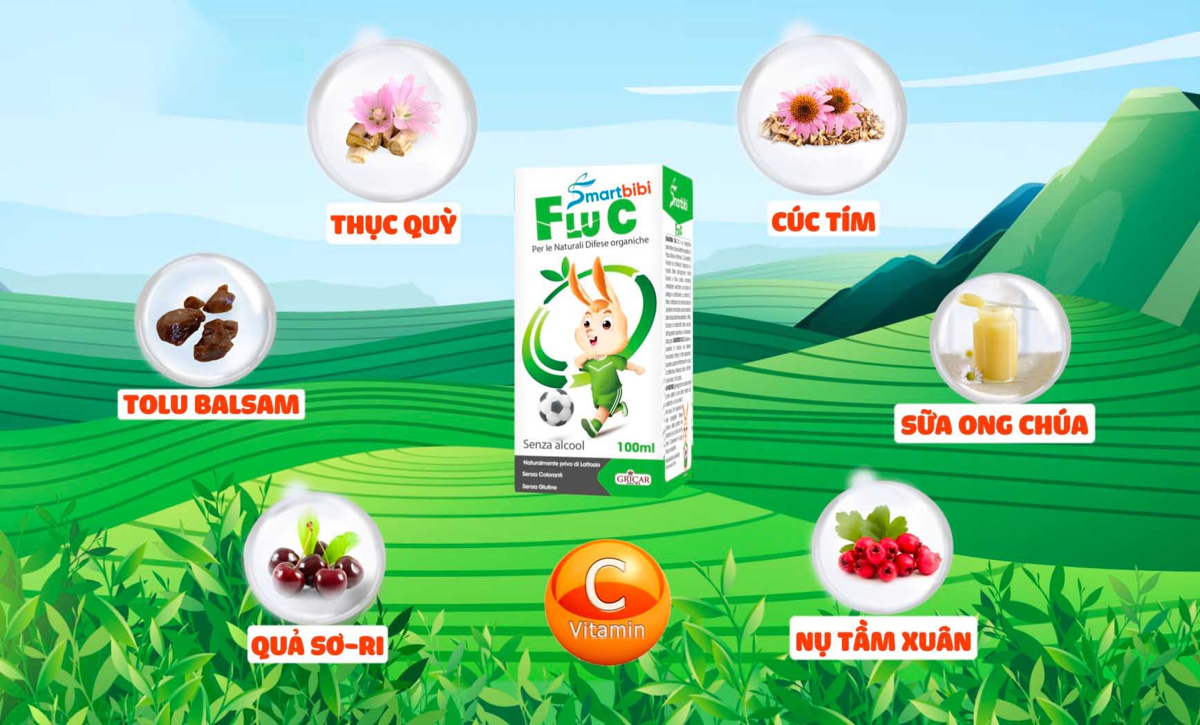 Giải mã “độ hot” của siro thảo dược Smartbibi Flu C từ châu Âu - 1