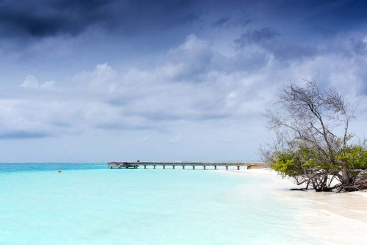 Quần đảo Niyama, Maldives: Quần đảo tư nhân NIYAMA Maldives bao gồm 2 hòn đảo tư nhân song sinh sang trọng, được đặt tên vui nhộn là Play và Chill. Cả hai đều vẫn là những bí mật chưa được khám phá ở Maldives xinh đẹp. Tại đây bạn sẽ được thư giãn trên bãi biển như lướt sóng, lặn với ống thở và bơi lội trong làn sóng biển lấp lánh.
