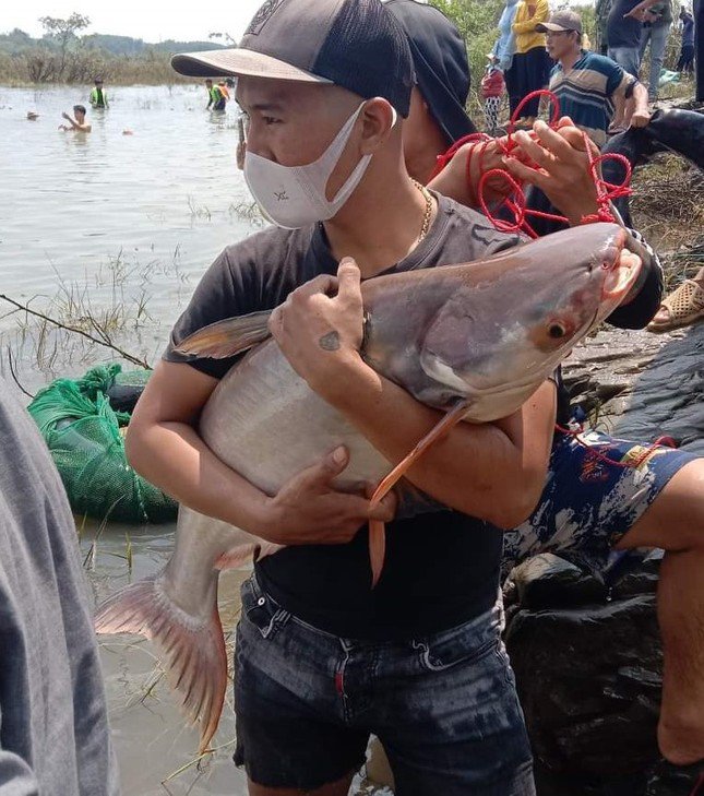 Thủy điện Trị An đóng đập tràn, người dân được mùa bắt cá &#39;khủng&#39; - 6