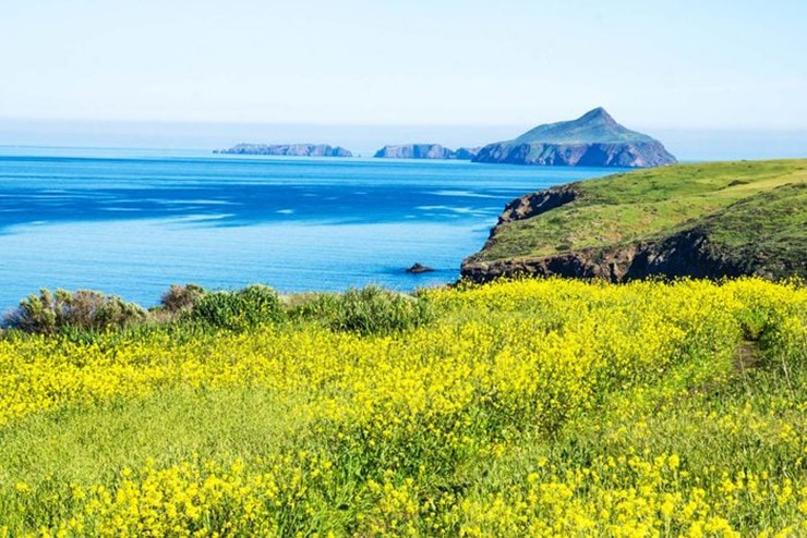 Đảo Anacapa, California: Là một phần của quần đảo Channel, đảo Anacapa bao gồm 3 hòn đảo nhỏ, chỉ có thể di chuyển qua lại&nbsp;bằng thuyền. Đây là nơi nghỉ ngơi và sinh sản của sư tử biển California và hải cẩu cảng. Du khách sẽ thích thú&nbsp;khám phá những khu rừng tảo bẹ&nbsp;của Anacapa, nơi có các hoạt động chèo thuyền kayak, lặn với ống thở và lặn biển hấp dẫn.
