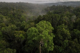 "Báo động đỏ" khí thải CO2 trên Trái đất, cao chưa từng có trong 800 năm