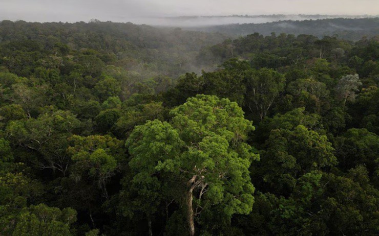 "Báo động đỏ" khí thải CO2 trên Trái đất, cao chưa từng có trong 800 năm - 1