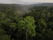 Công nghệ thông tin - &quot;Báo động đỏ&quot; khí thải CO2 trên Trái đất, cao chưa từng có trong 800 năm