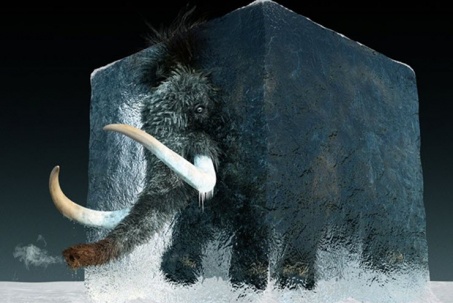 Các nhà khoa học đang tái sinh voi ma mút lông cừu