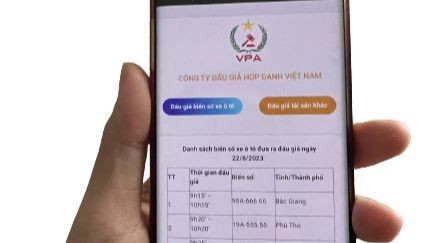 Từ 1-9 có quy định mới về đấu giá tài sản, đấu giá biển số ô tô có thay đổi? - 1