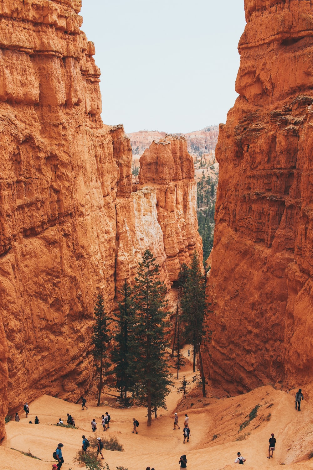 Khám phá vẻ đẹp ngỡ không có trên trần gian của công viên quốc gia Bryce Canyon (Mỹ) - 2