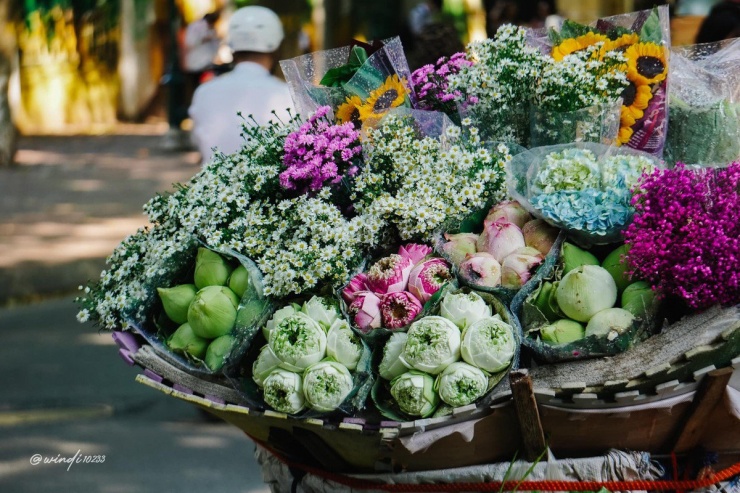 Mua hoa chụp ảnh trend thu Hà Nội và kiếp nạn không ngờ tới - 9