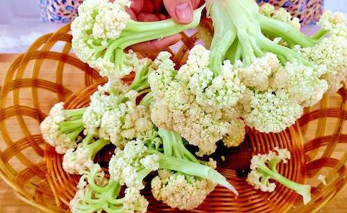 Súp lơ vừa ngon vừa bổ nhưng chú ý đừng ăn cùng 3 loại này - 2