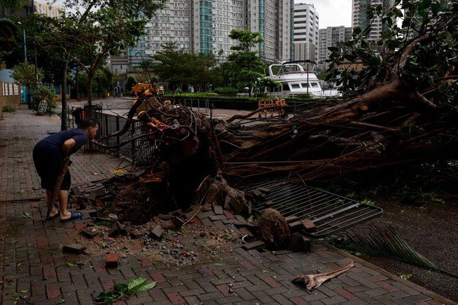 
Cây bật gốc ở Hồng Kông. Ảnh: Reuters