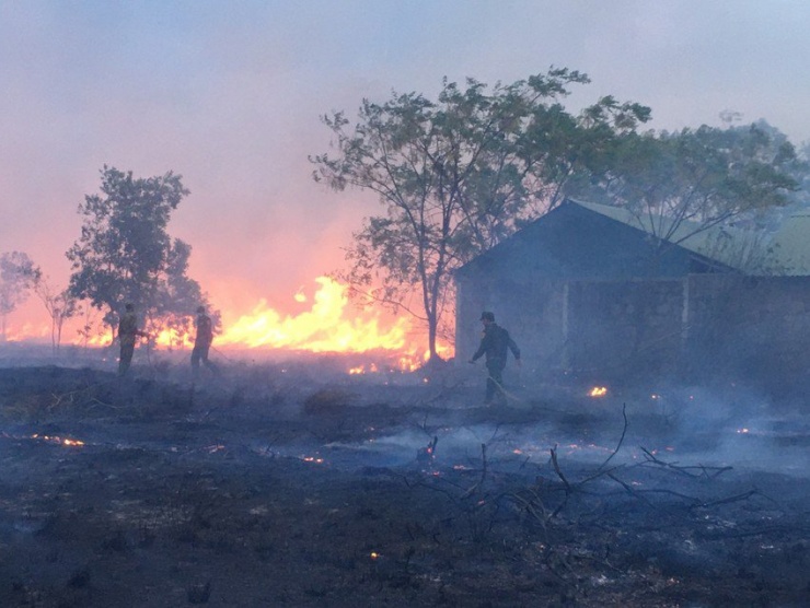 Cháy rừng phòng hộ, cả làng cùng tham gia dập lửa trong ngày nghỉ lễ - 2
