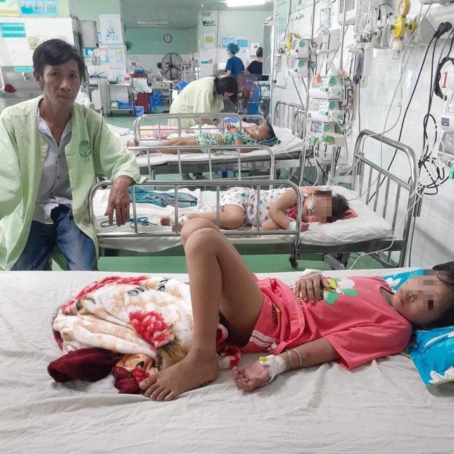 Quảng Nam: Bốn mẹ con bị đàn ong vò vẽ đốt phải nhập viện - 1