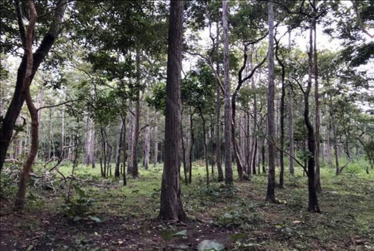 Bình Thuận sẽ có thông cáo báo chí về vụ bỏ 600 ha rừng làm hồ thủy lợi Ka Pét - 3