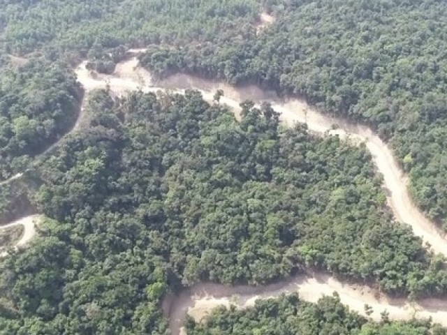 Tập đoàn Đèo Cả nói về vụ phá rừng mở đường ở Quảng Ngãi