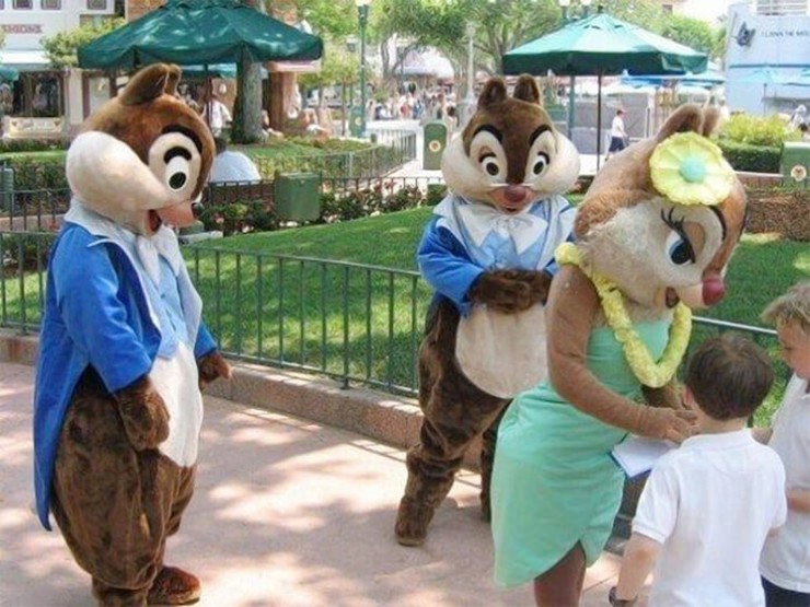 Chip và Dale không thể rời mắt trước sự quyến rũ của sóc chuột.
