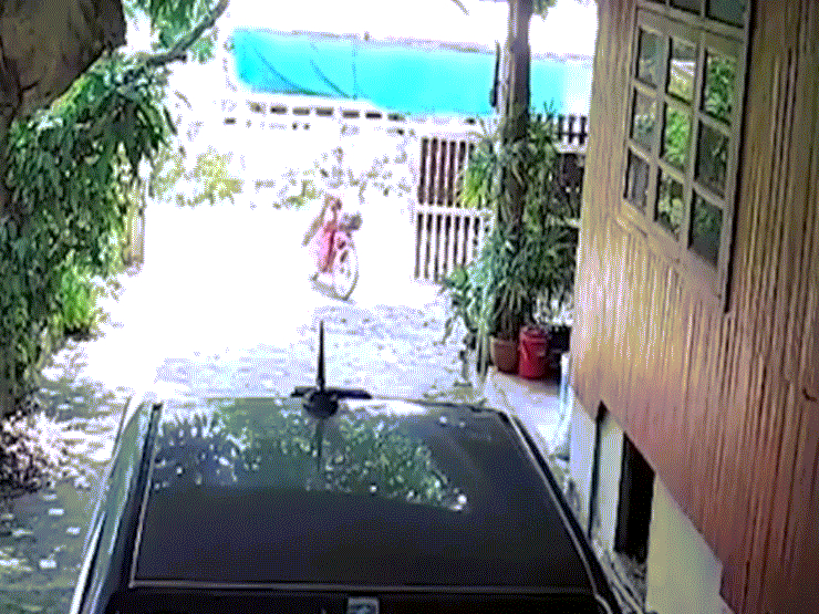 Video: Bị rắn hổ mang rượt đuổi, người đàn ông hoảng sợ phóng xe máy bỏ chạy