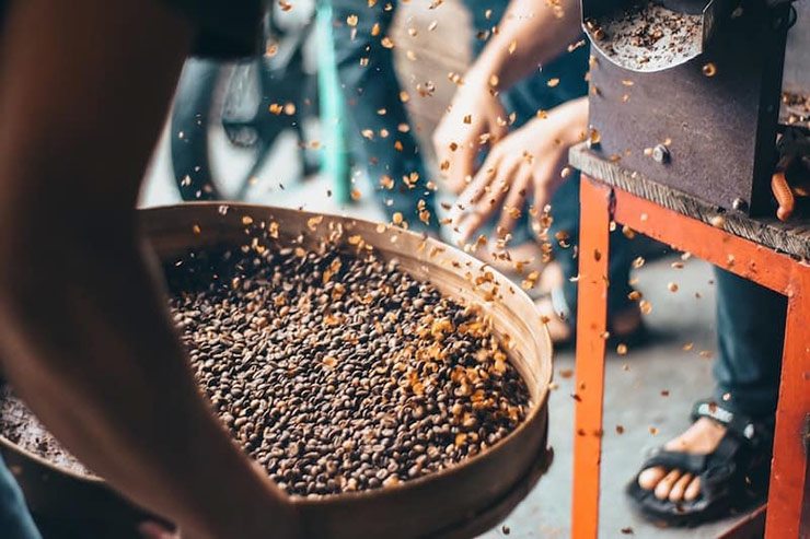 Thành phẩm thu được là cà phê phân chim Jacu có vị trái cây và chua hơn các loại khác.
