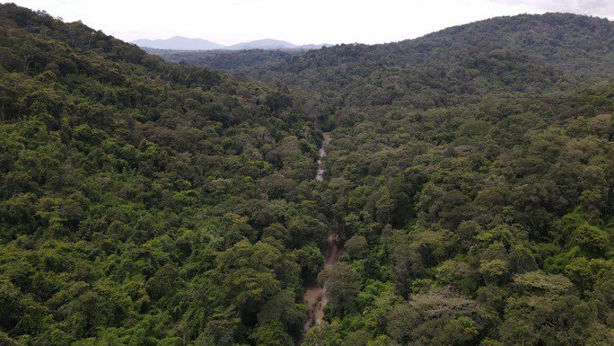 Bình Thuận đang họp báo về việc lấy hơn 600 ha rừng làm hồ chứa nước Ka Pét - 3