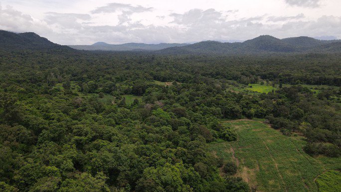 Bình Thuận đang họp báo về việc lấy hơn 600 ha rừng làm hồ chứa nước Ka Pét - 2