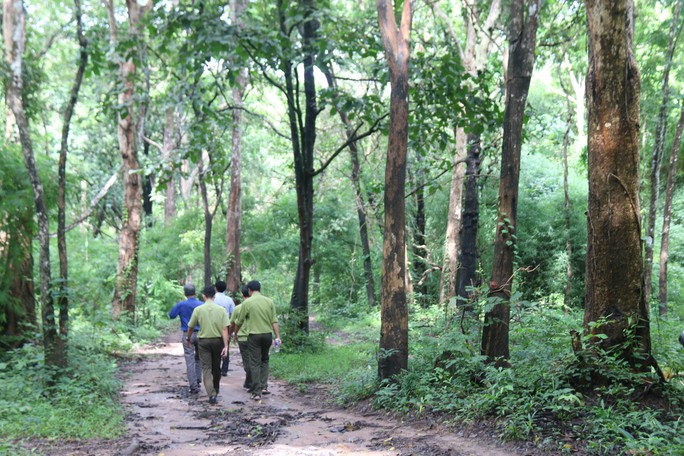 Bình Thuận đang họp báo về việc lấy hơn 600 ha rừng làm hồ chứa nước Ka Pét - 4